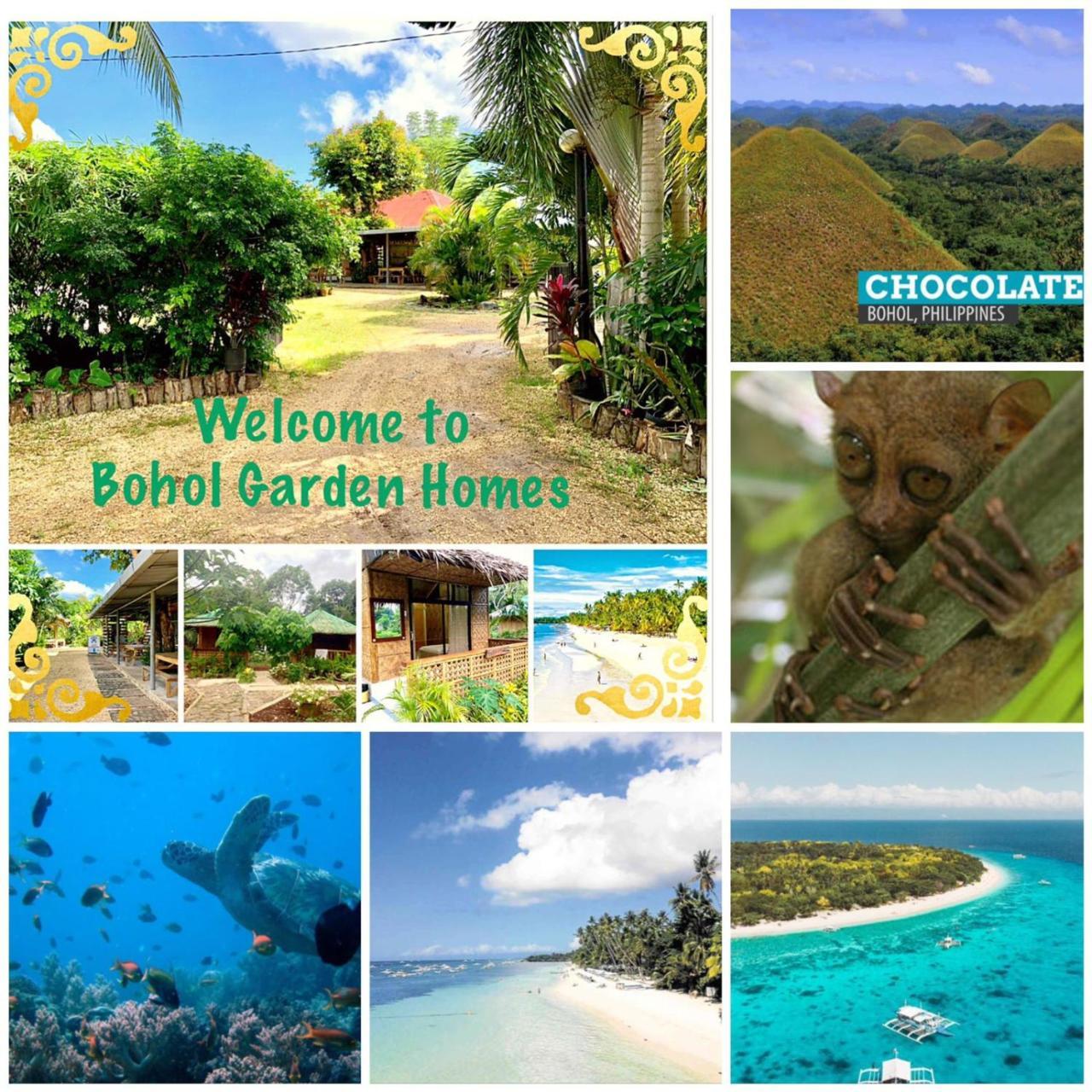 House @Bohol Garden Homes Panglao Εξωτερικό φωτογραφία