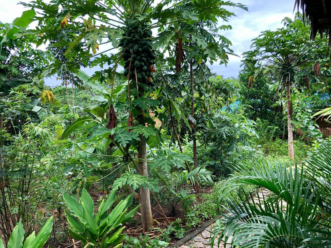 House @Bohol Garden Homes Panglao Εξωτερικό φωτογραφία