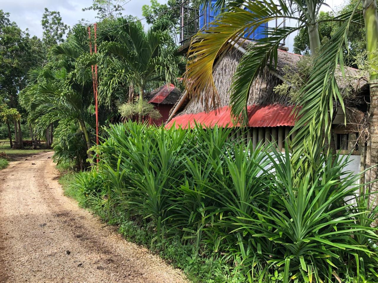 House @Bohol Garden Homes Panglao Εξωτερικό φωτογραφία